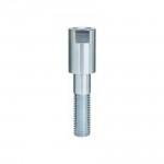 BOSCH  Bolt de fixare pentru disc pentru GPO