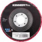 CROMWELL  Kennedy Pro. Silicon Carbide Non-Woven Disc, 115mm Diameter