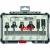 BOSCH  Set 6 freze HM tija 6 mm